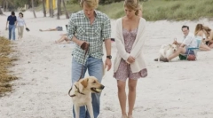 10 Od najduših filmova o životinjama